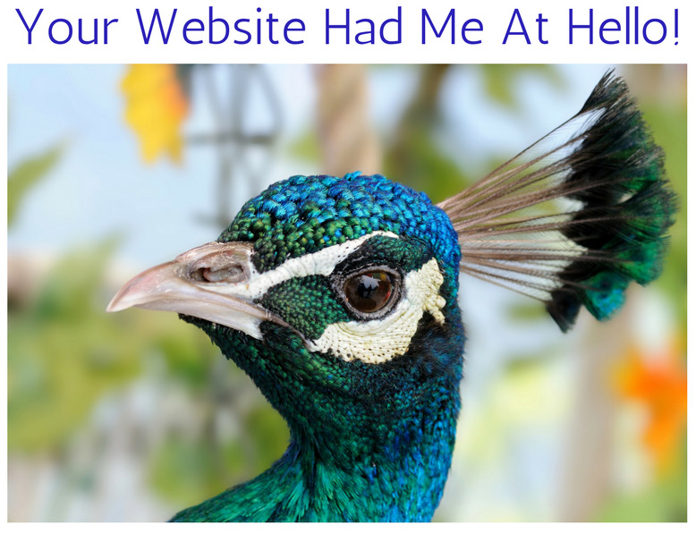 peacock saying your website had me at hello!