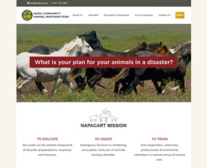 image of napacart.org home page, custom WordPress website design & maintenance